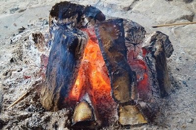 frying in disposable aluminum pan on campfire｜TikTok Search